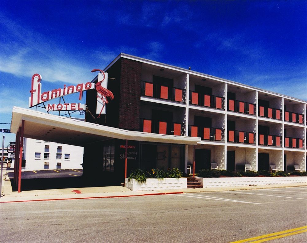 Flamingo Motel Ocean City Zewnętrze zdjęcie